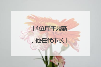4位厅干履新，他任代市长