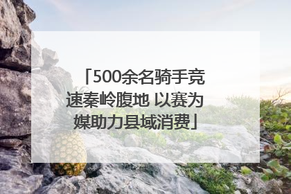 500余名骑手竞速秦岭腹地 以赛为媒助力县域消费