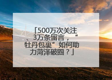 500万次关注、3万条留言，“牡丹包裹”如何助力菏泽破圈？