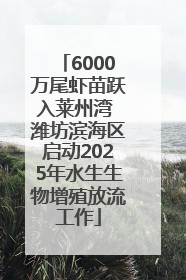 6000万尾虾苗跃入莱州湾 潍坊滨海区启动2025年水生生物增殖放流工作
