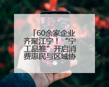 60余家企业齐聚江宁！“宁工品推”开启消费惠民与区域协作新篇