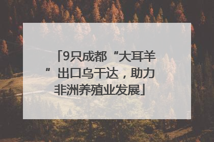 9只成都“大耳羊”出口乌干达，助力非洲养殖业发展