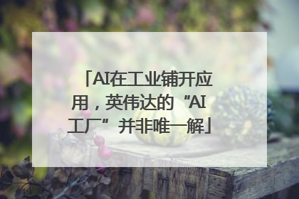 AI在工业铺开应用，英伟达的“AI工厂”并非唯一解