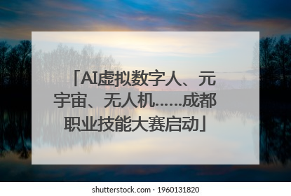 AI虚拟数字人、元宇宙、无人机……成都职业技能大赛启动