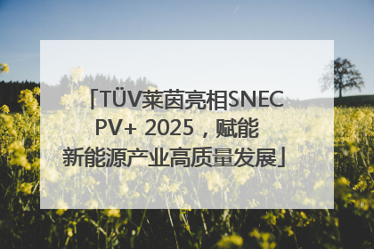 TÜV莱茵亮相SNEC PV+ 2025，赋能新能源产业高质量发展
